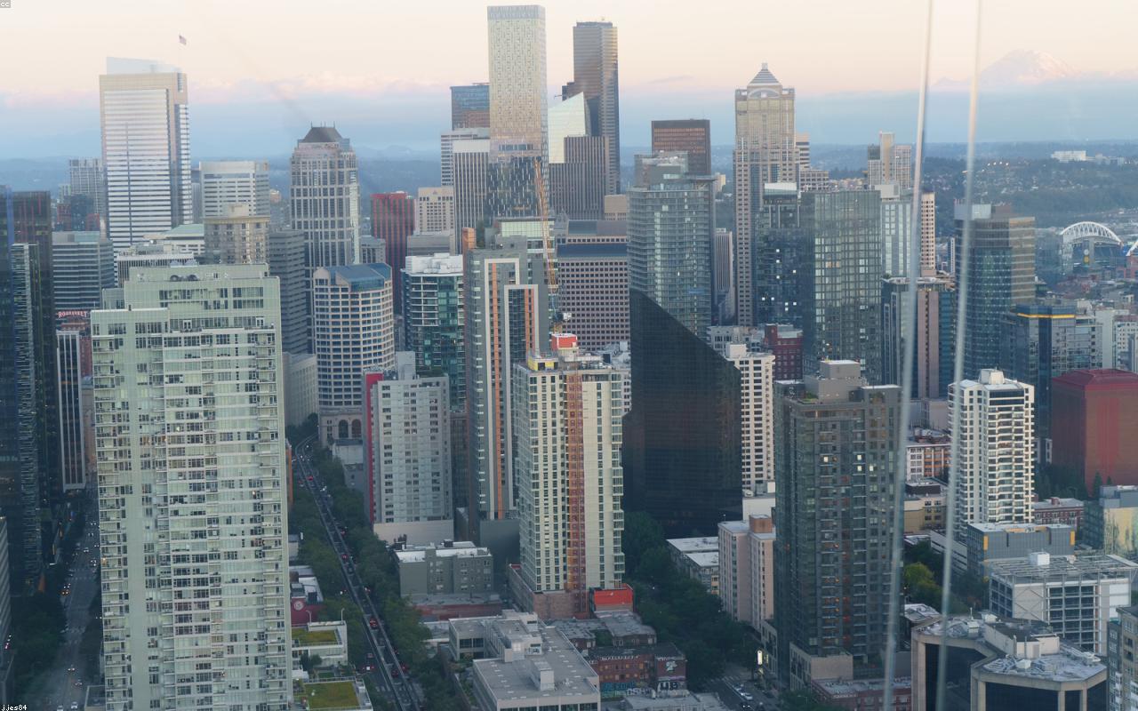 Building A 12-Month Cash Flow Forecast For Lenders