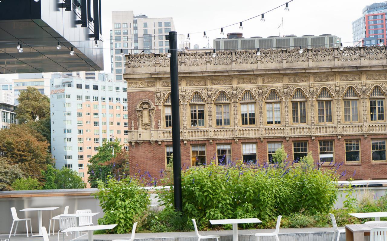 How To Track ROI On Borrowed Capital